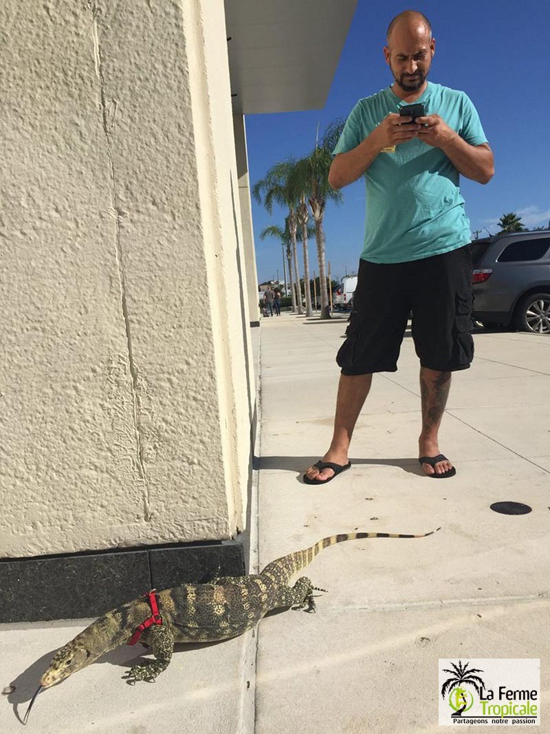 [Voyage] National Reptile Breeders Expo, Daytona Beach, Floride